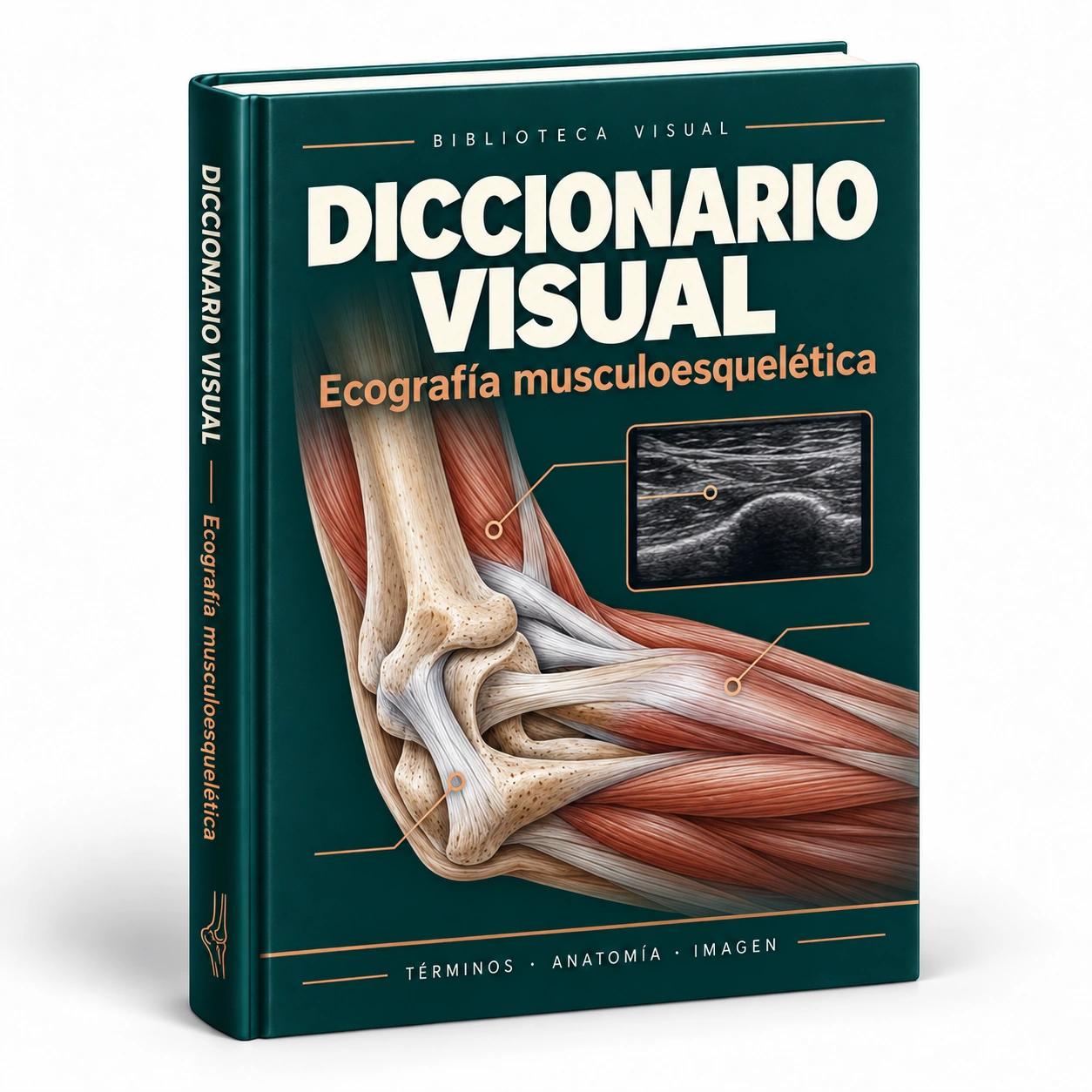 Representación del bono: Diccionario Visual de Ecografía Musculoesquelética