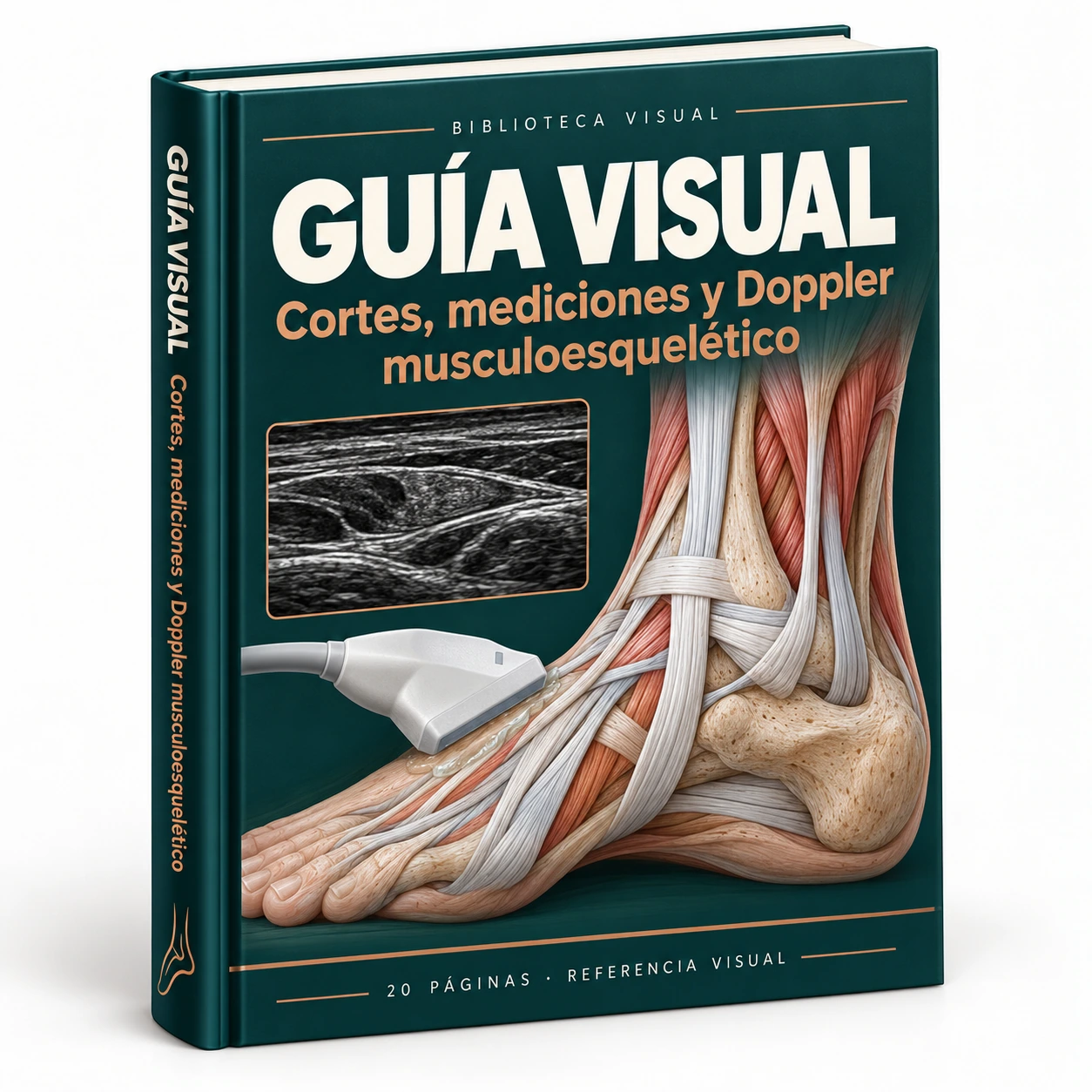 Representación del bono: Guía Visual de Cortes, Mediciones y Doppler Musculoesquelético