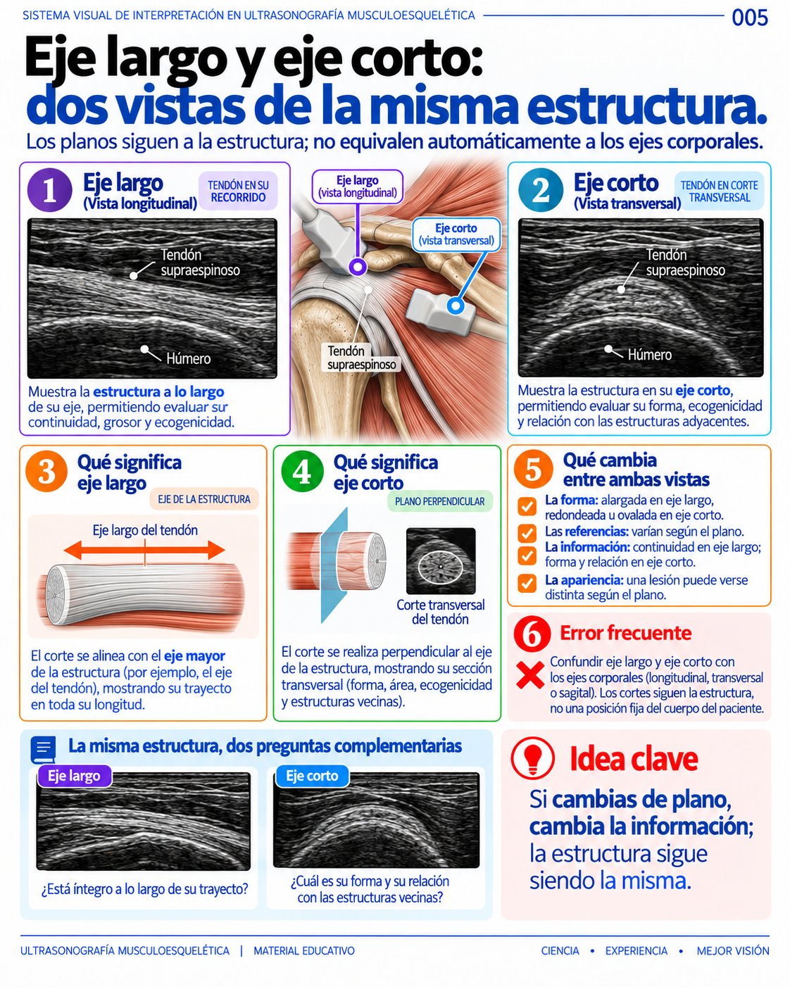 Página 5: Eje largo y eje corto. Muestra del material educativo de ecografía musculoesquelética.