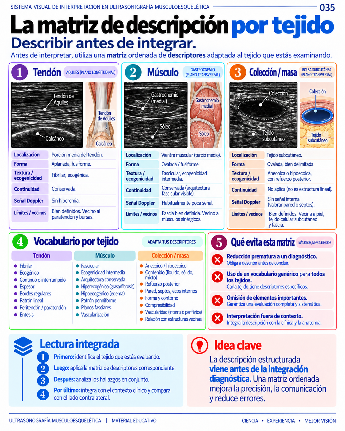 Página 35: Descripción por tejido. Muestra del material educativo de ecografía musculoesquelética.